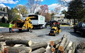 Best Lawn Renovation and Restoration  in Troy, AL