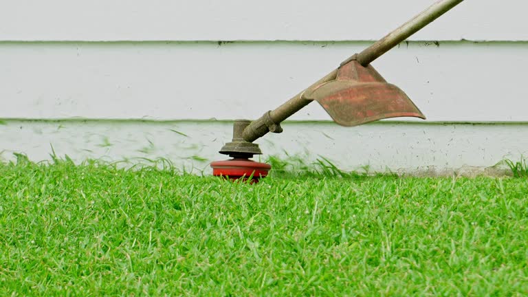 Best Tree Health Inspection  in Troy, AL